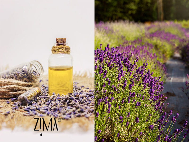 روغن اسطوخودوس